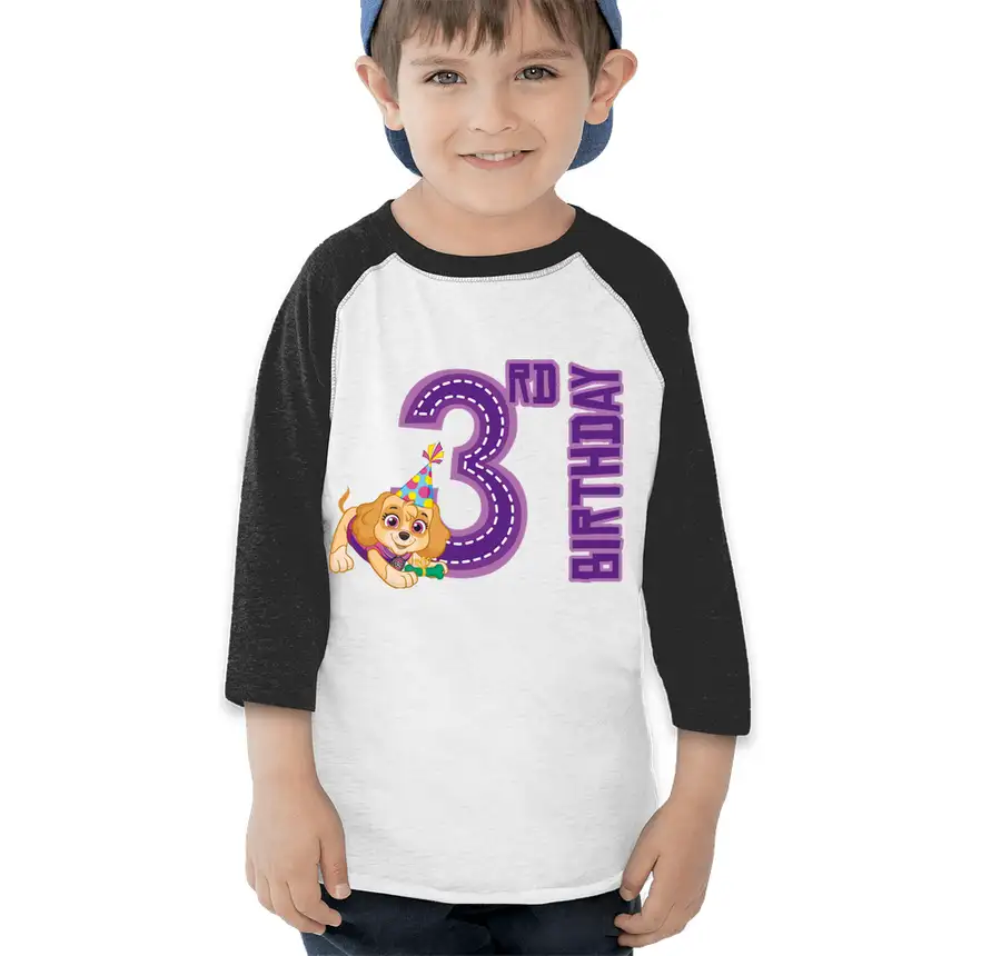 Paw Patrol - Birthday Skye - 3rd Birthday - Rabbit Skins Toddler Raglan T-shirt