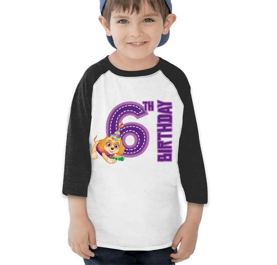 Paw Patrol - Birthday Skye - 6th Birthday - Rabbit Skins Toddler Raglan T-shirt