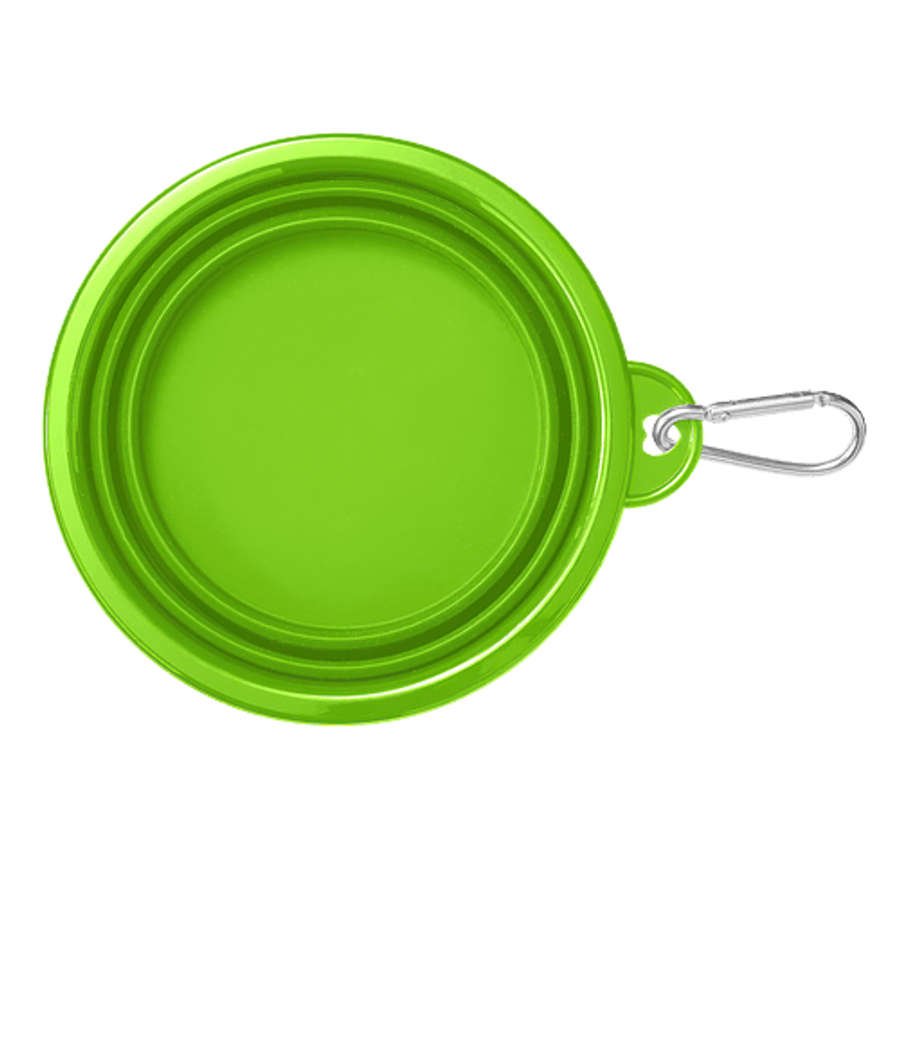 Collapsible Pet Bowl with Carabiner in Lime