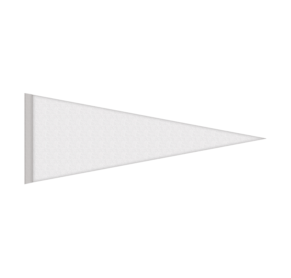 Full Color 9" x 24" Rigid Felt Pennant-default