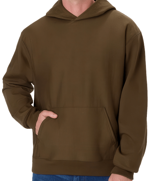 Hanes Beefy Sweats Heavyweight Pullover Hoodie in Army Brown