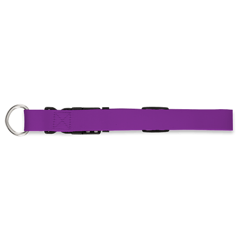 Full Color Adjustable Pet Collar, 1" Wide in Team Purple