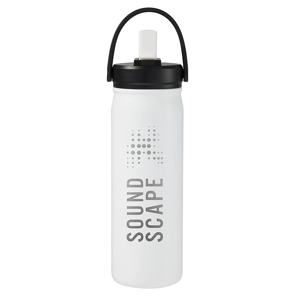 20 oz. Carpo Recycled Stainless Steel Water Bottle with Flip Straw