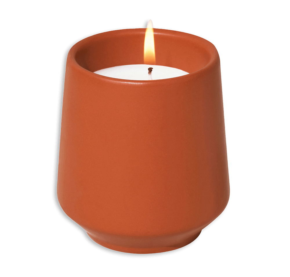 Modern Sprout Rooted Candle Herb Grow Kit-default