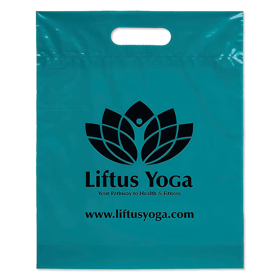 Full Color Medium Plastic Handle Bag