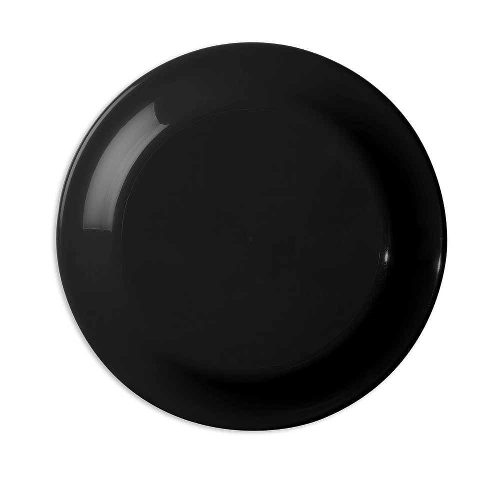 Large Fun Flying Disc-default