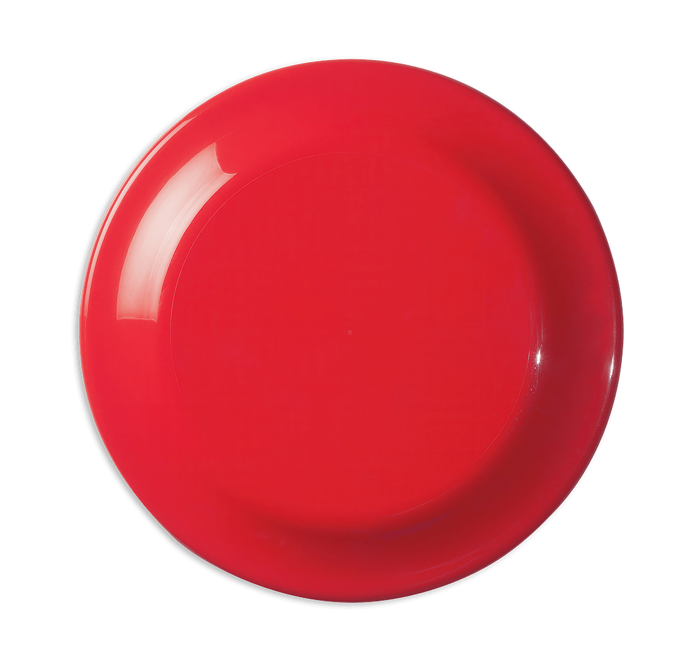 Large Fun Flying Disc-default