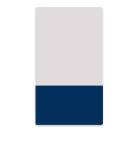 2" x 3.5" Vertical Clear Plastic Business Cards - Color: Clear / Navy