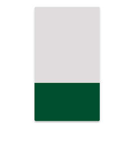 2" x 3.5" Vertical Clear Plastic Business Cards - Color: Clear / Forest Green