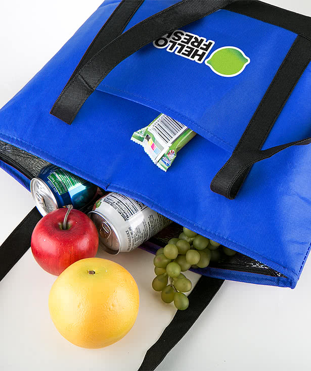 Newport Zippered 12 Can Cooler Tote Bag