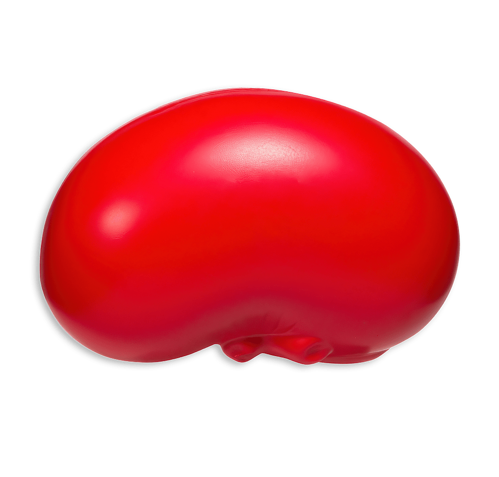 Kidney Stress Reliever-default