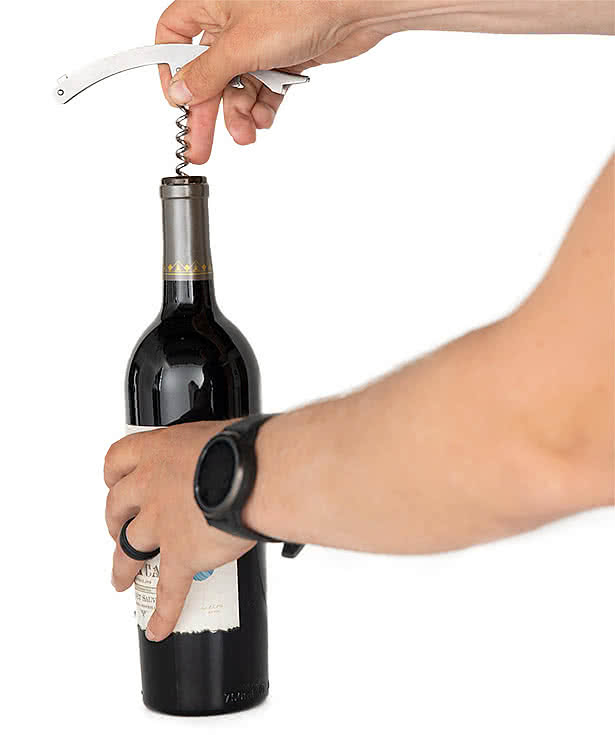 Wine Lover's 2 Bottle Gift Bag