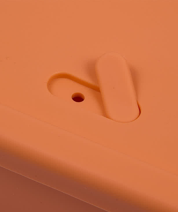 24 oz. Silicone Food Storage Box with Air Valve