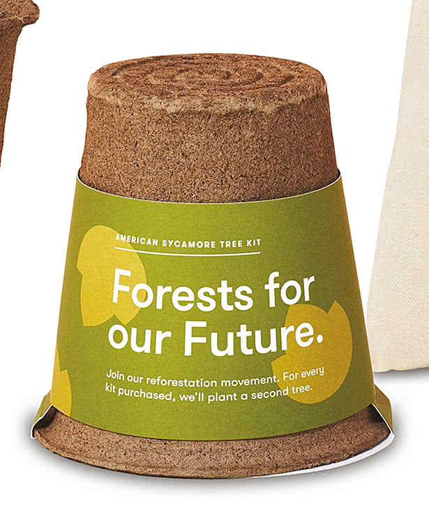 Modern Sprout One For One Tree Kit