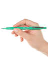 Paper Mate Flair Felt Tip Pen (color ink)