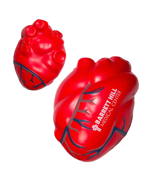 Anatomical Heart with Veins Stress Reliever