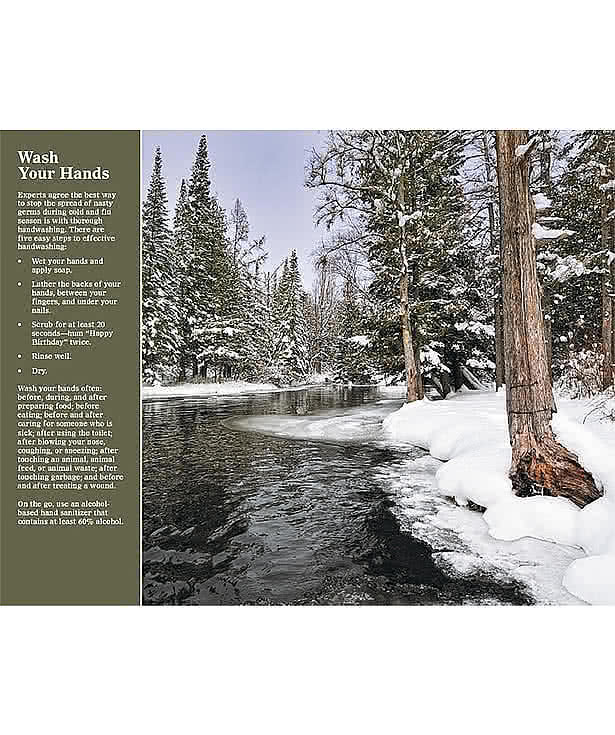 Healthy Living Wall Calendar