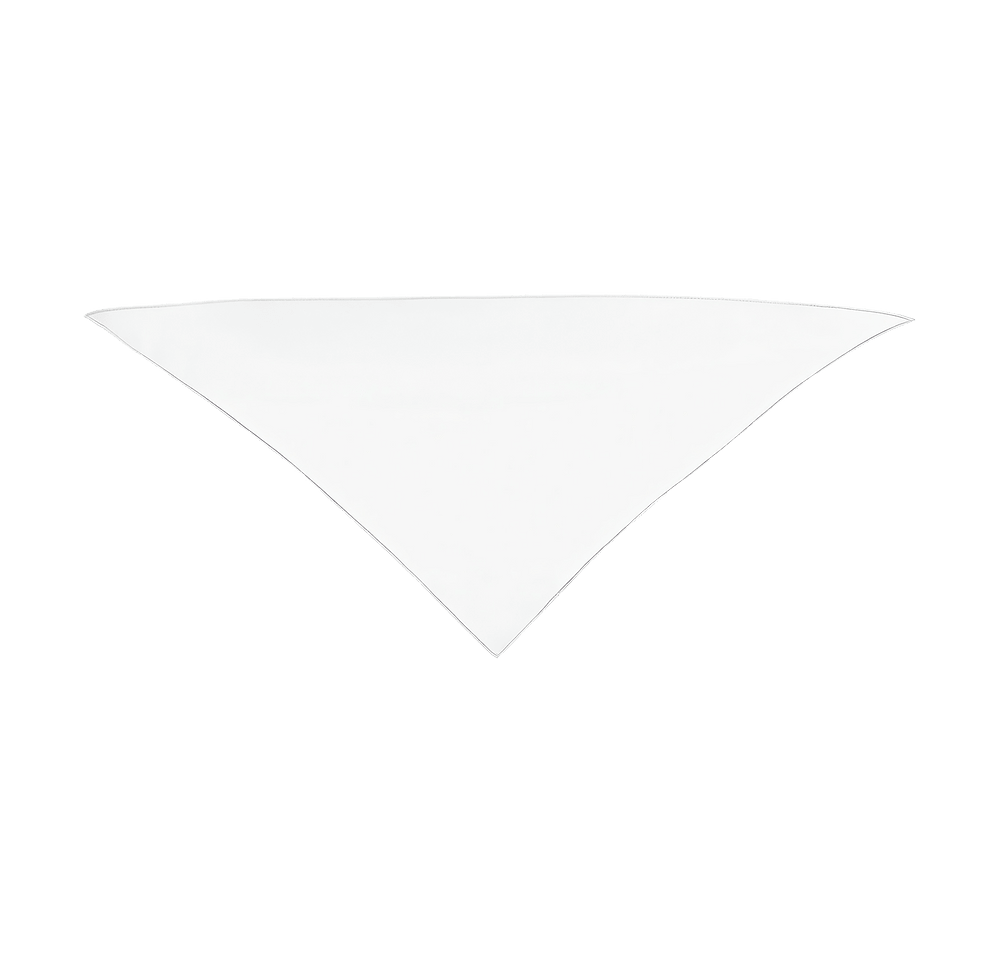 Small Triangle Recycled Pet Bandana-default