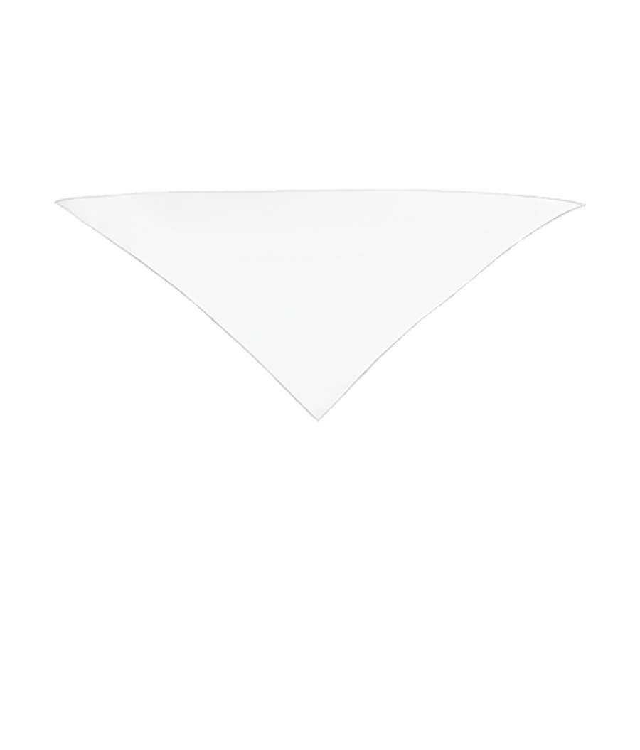 Small Triangle Recycled Pet Bandana in White
