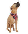 Doggie Skins USA-Made 100% Cotton Pet Bandana (Corner Design)