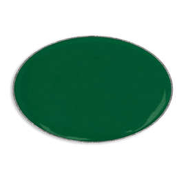 Oval Lapel Pin - Color: Forest Green / Silver