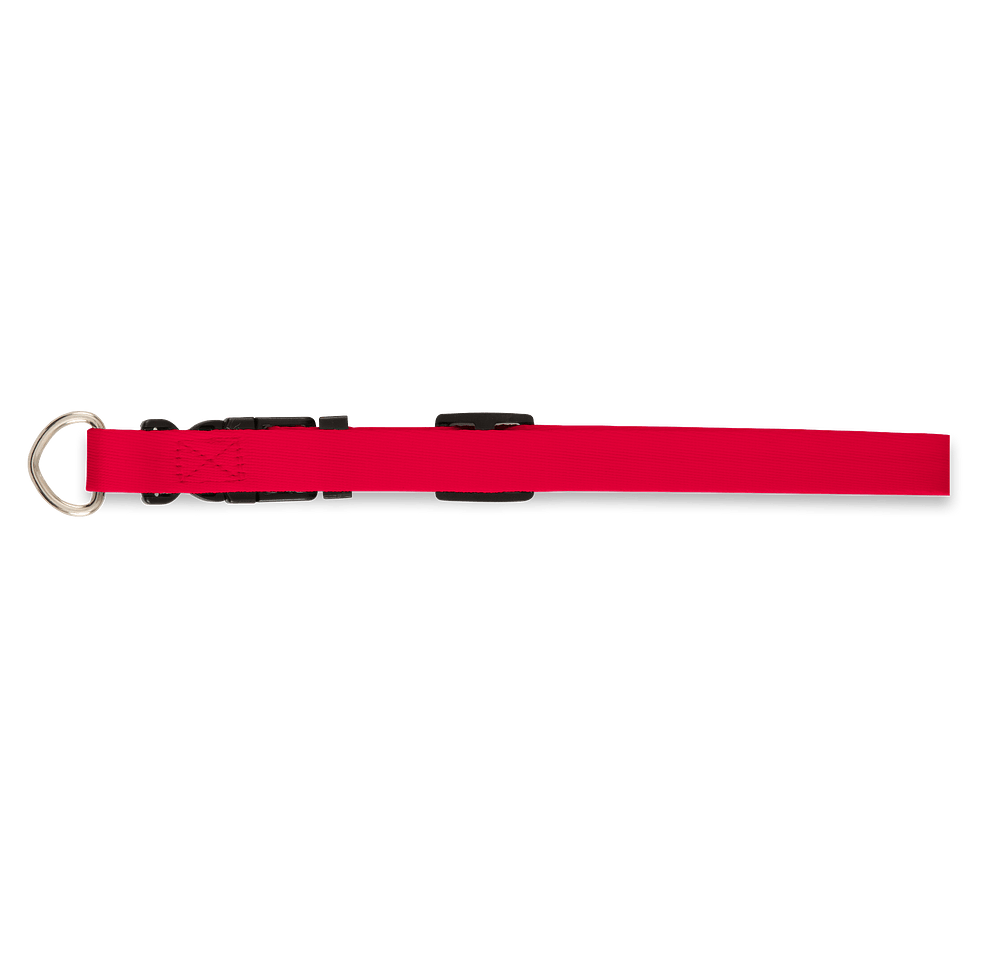 Full Color Adjustable Pet Collar, 3/4" Wide-default