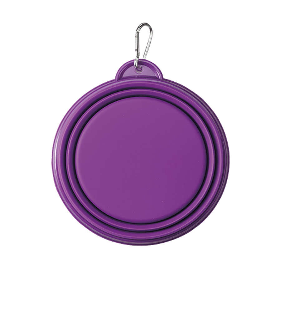 Collapsi-Bowl Pet Food Bowl in Purple