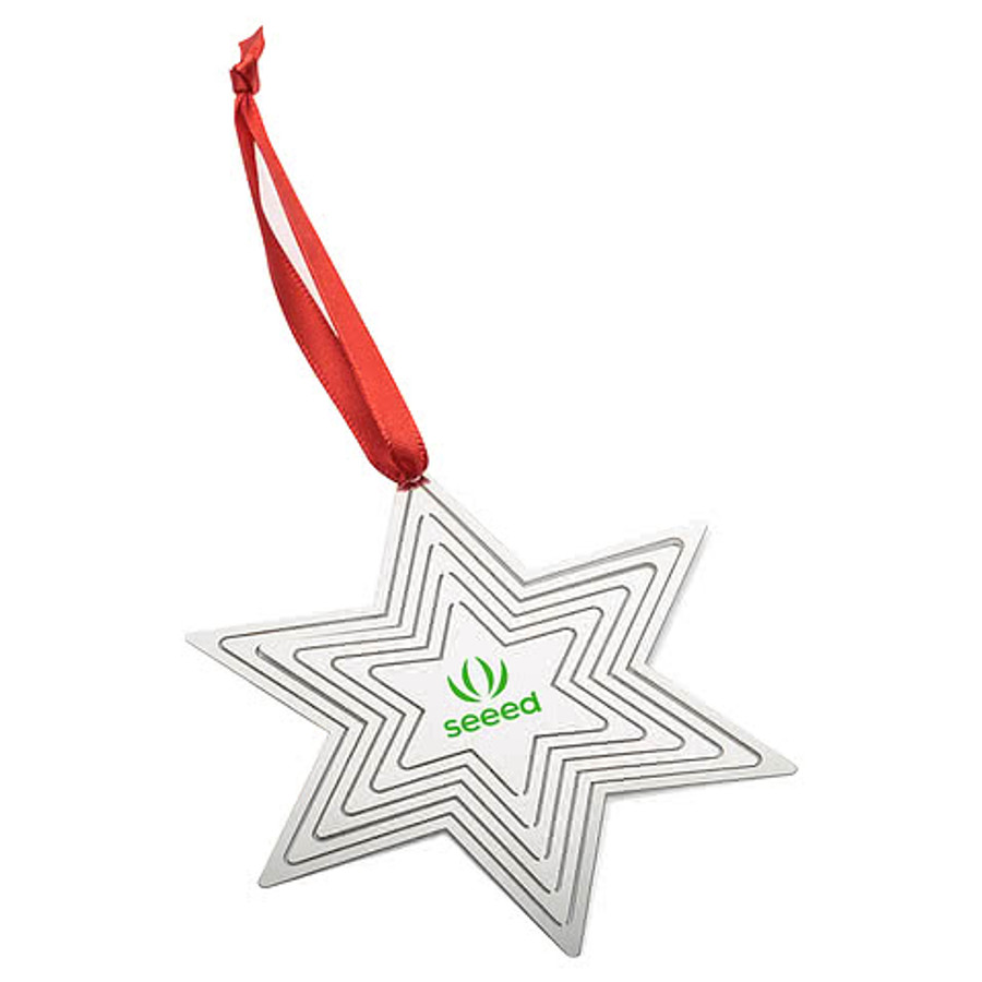 Star Pop Out Ornament in Silver