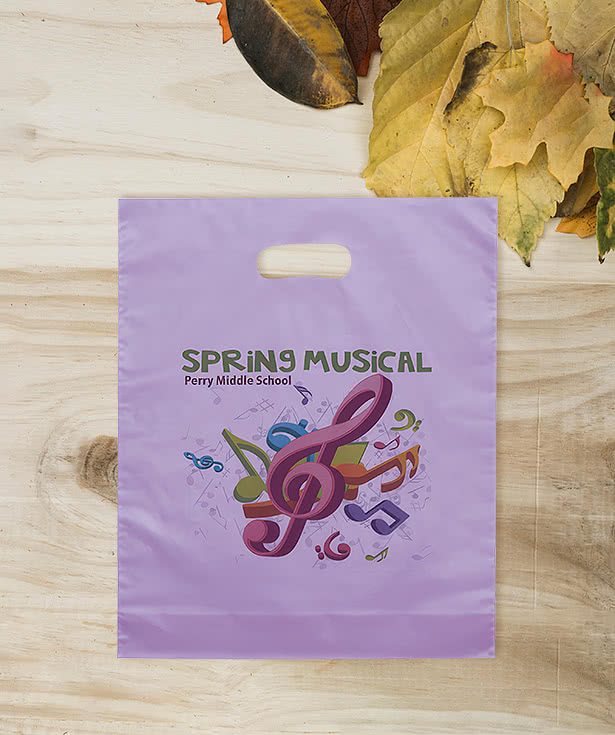 Medium Frosted Plastic Handle Bag