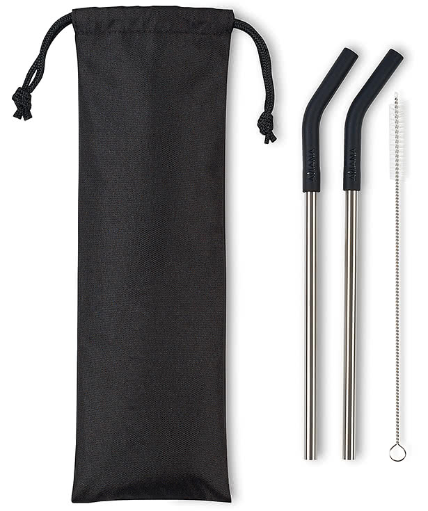 Aviana Poppy 2-Pack Stainless Steel Straw Set