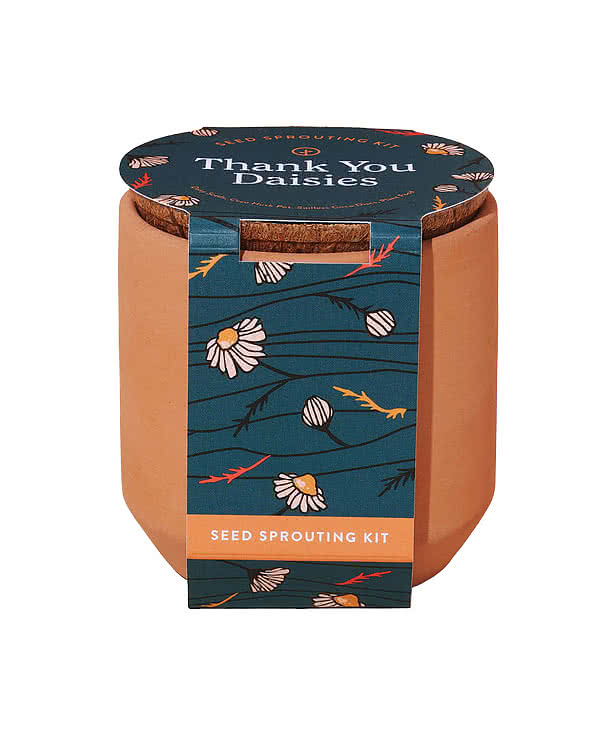 Laser Engraved Modern Sprout Tiny Terracotta Thank You Daisies Grow Kit