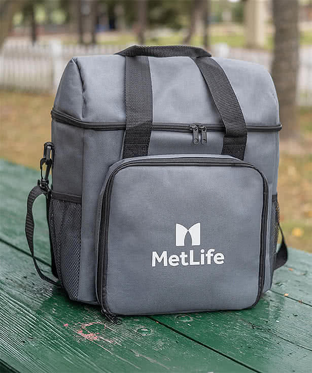 Valdivian All-in-One Picnic Cooler Bag