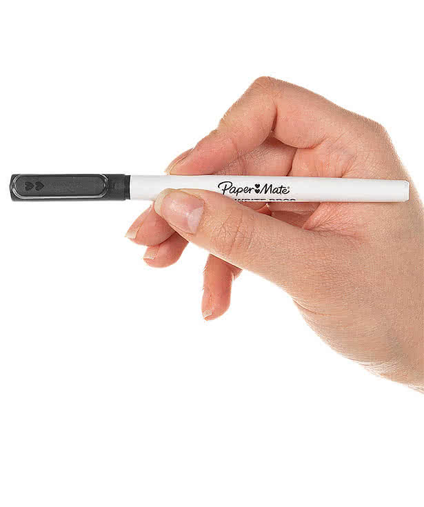 Paper Mate Write Bros Stick Pen (black ink)