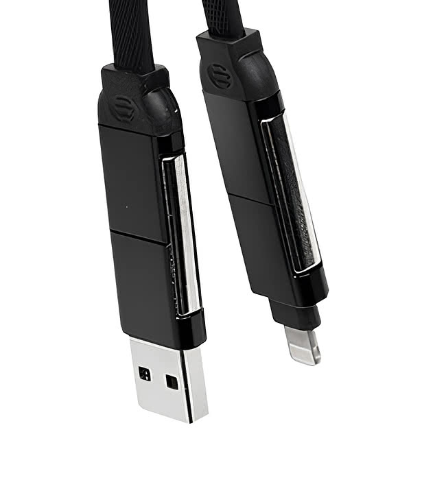 Multi-Charge Cable with Round Carabiner