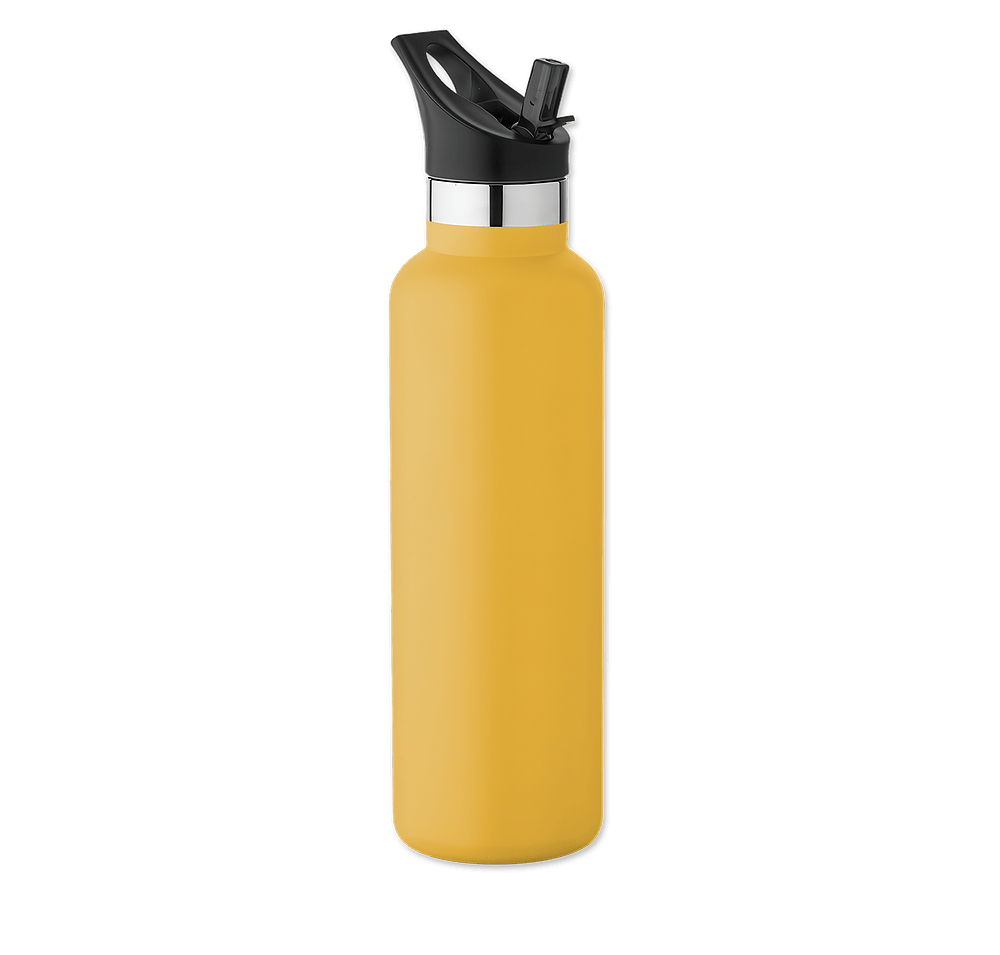 20 oz. Basecamp Mesa Tundra Water Bottle with Screw Top and Flip-Top Straw Lid-default