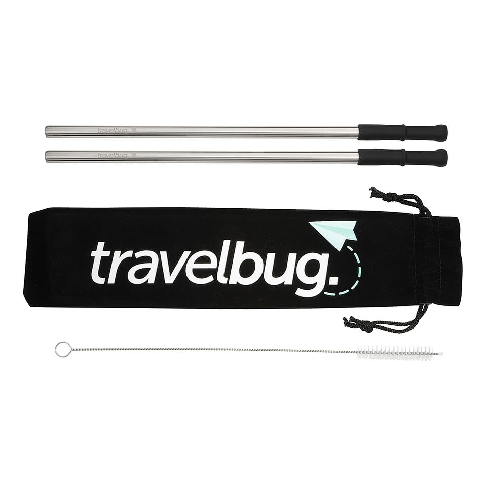 Stainless Steel Reusable Straw Set