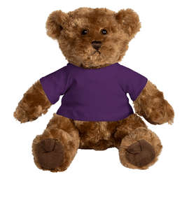 10" Traditional Brown Bear - Color: Brown Bear / Purple T-shirt