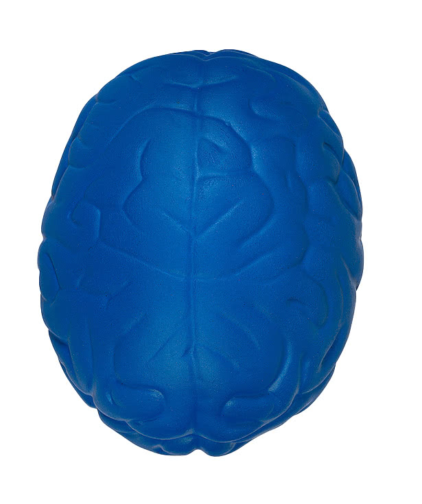 Brain Shaped Stress Reliever