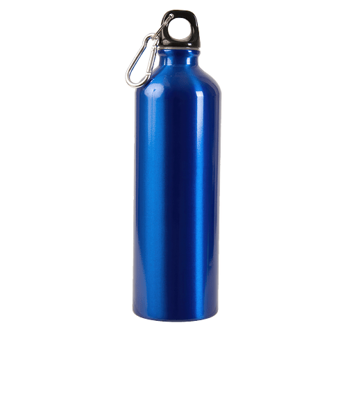 25 oz. Aluminum Alpine Sports Water Bottle in BLUE