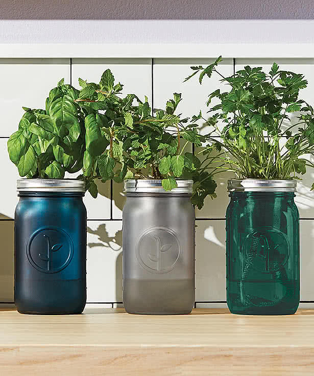 Modern Sprout Indoor Herb Garden Kit