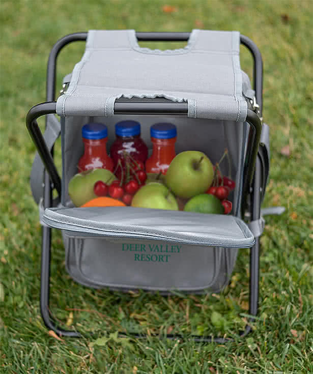 Riverbend Foldable Cooler Backpack & Chair
