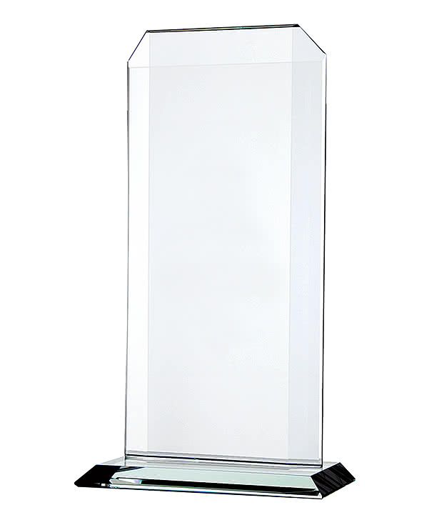 Laser Engraved Large Starfire Echo Award