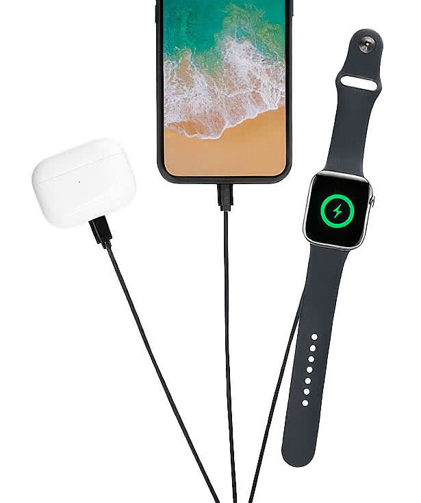 3' Multi-Charging Cable with Watch Dock