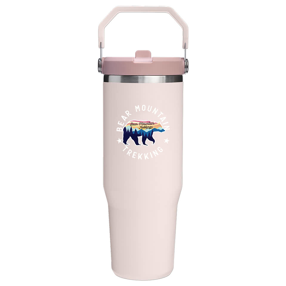 Stanley 30 oz. IceFlow 2.0 Flip Straw Tumbler