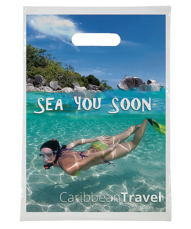 Full Color 13" Medium Plastic Handle Bag