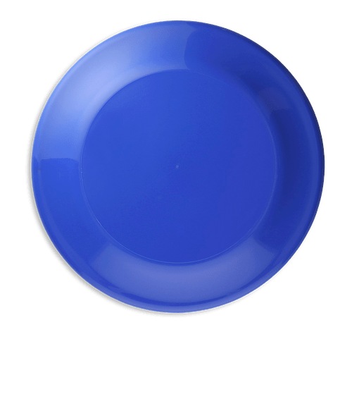 Solid Color Flying Disc in Blue