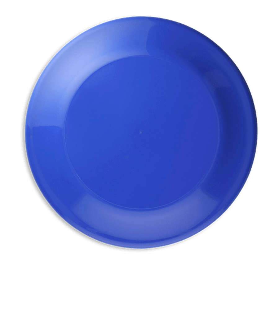 Solid Color Flying Disc in Blue