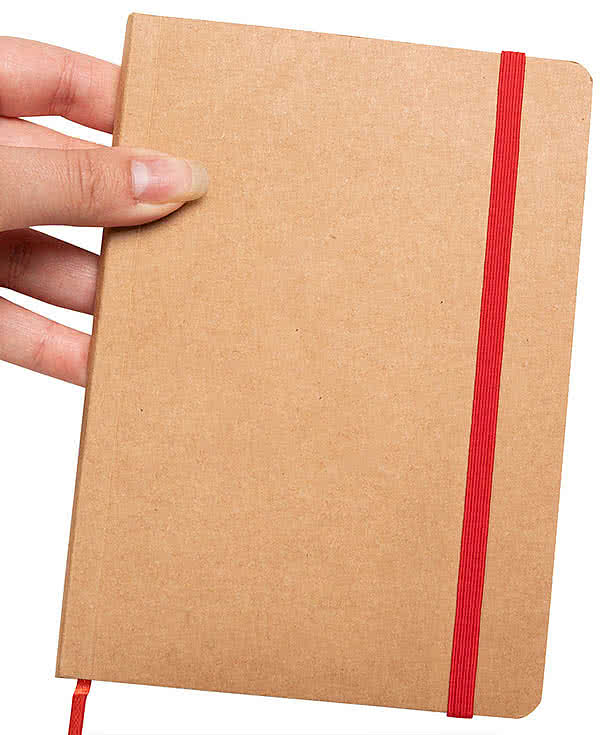 Eco-Inspired Strap Notebook