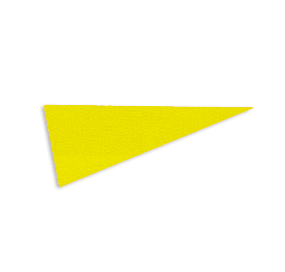 9" x 24" Felt Pennant-default